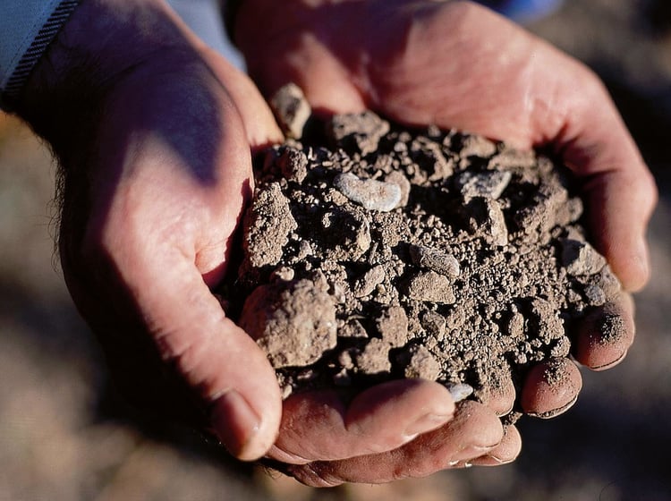Der Boden in Südtirol