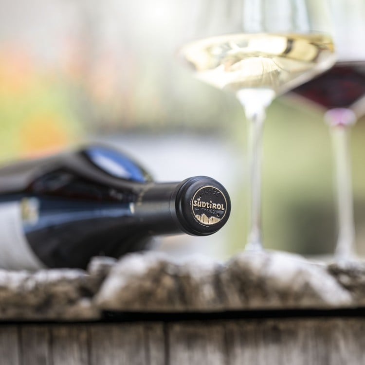 Winzer Südtirol bei der Weinreben - Pflege