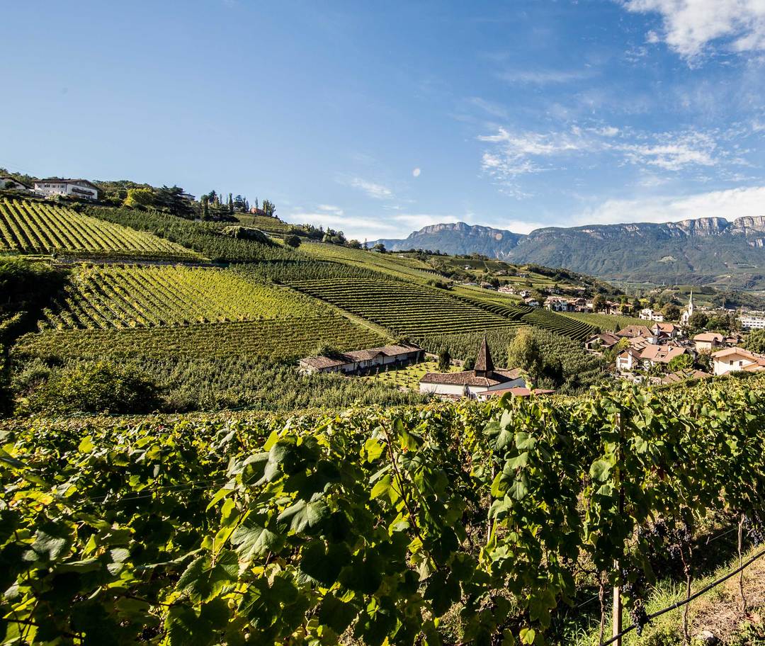 Wein und wandern in Südtirol