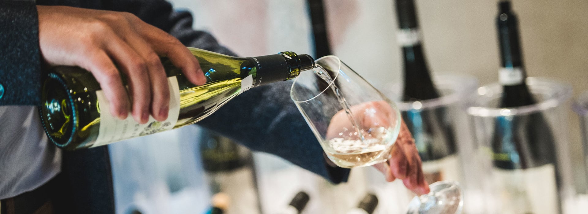 Weinprofi werden Südtirol