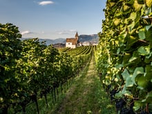 Jahrgang 2011 Wein Südtirol