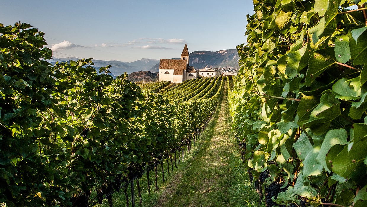 Jahrgang 2011 Wein Südtirol