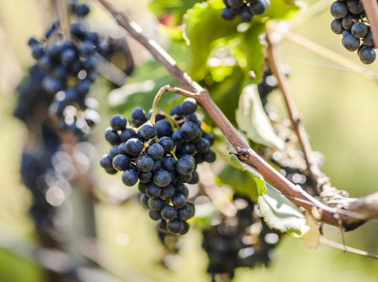 Die Menschen dahinter