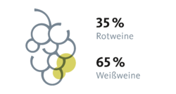 Prozentuelle Aufteilung der Produktion von Rot- und Weißwein