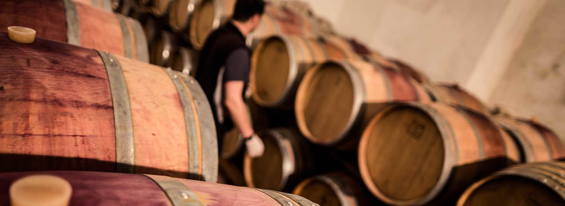 Wein Führungen Südtirol