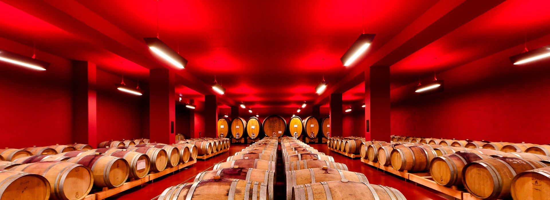 Wein & Architektur Südtirol