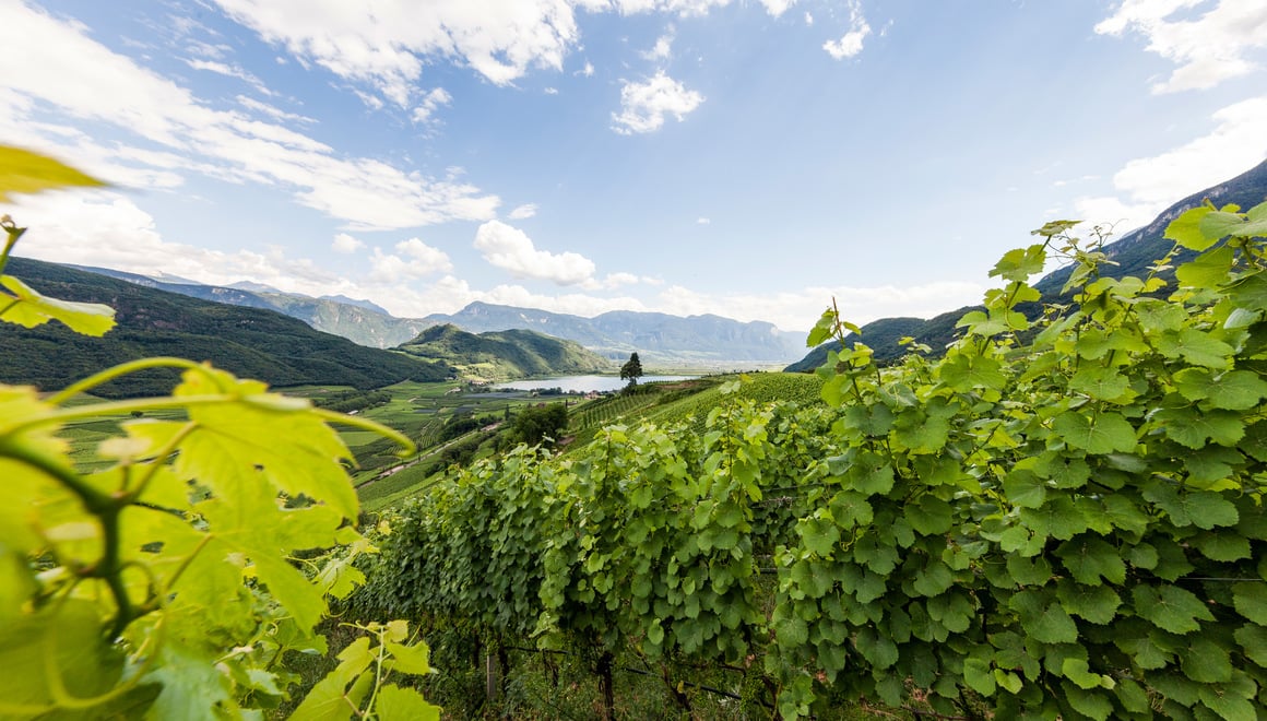 Kalterersee Südtirol