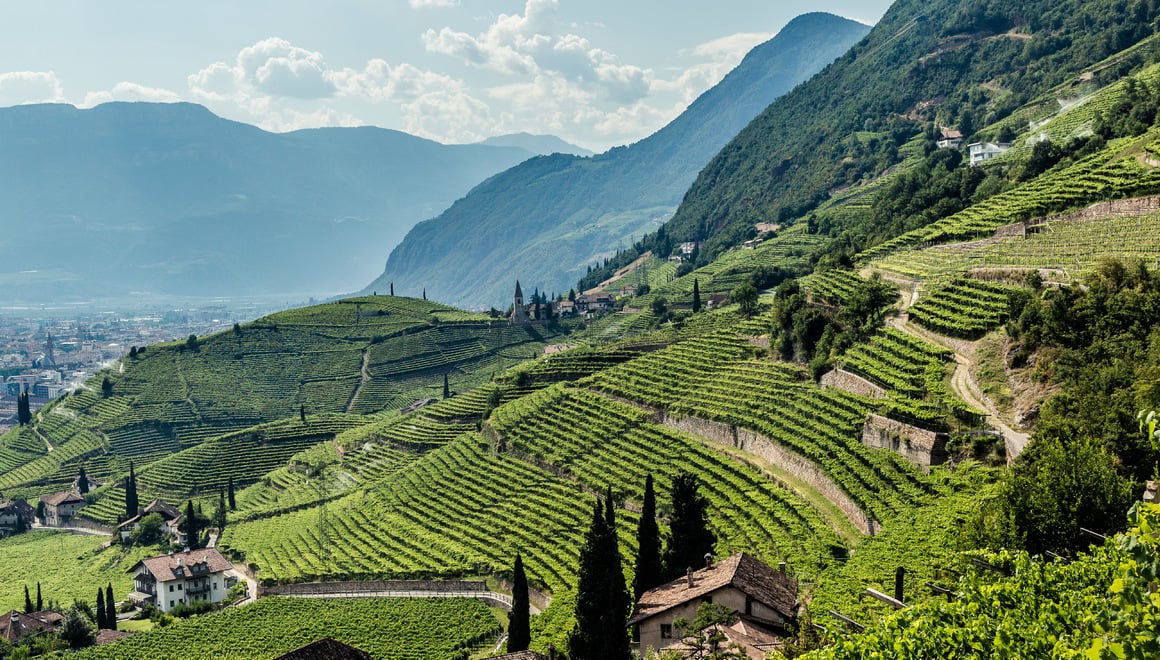 Südtirol St. Magdalener
