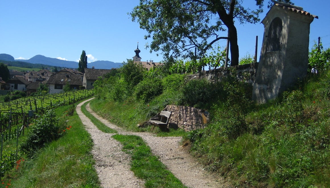 Natur- und Weinlehrpfad in Girlan Südtirol