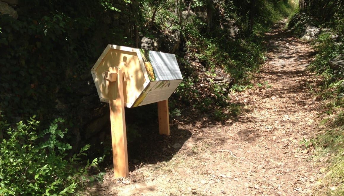 Weinwanderweg Klausen Alto Adige
