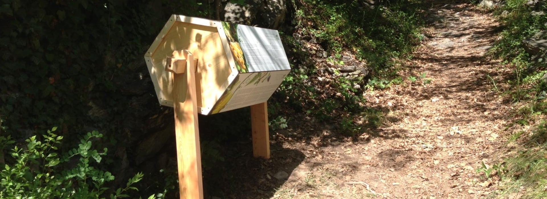 Weinwanderweg Klausen