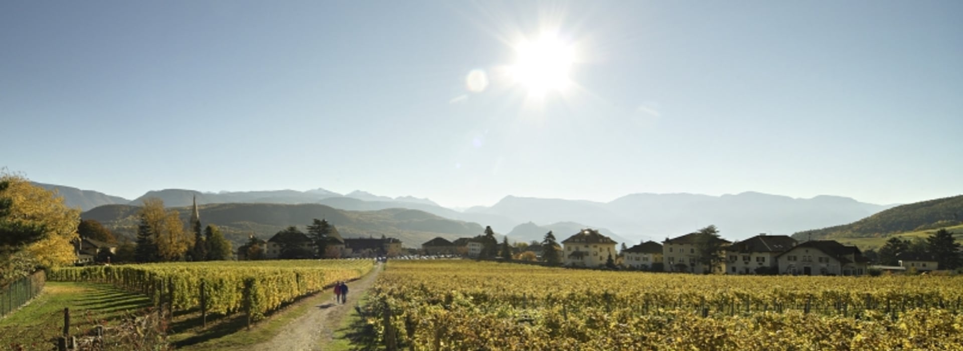 Weinlehrpfad Castel Sallegg