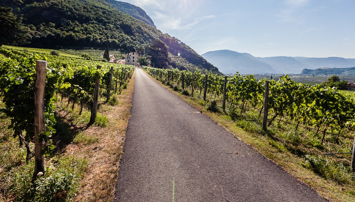 Weinroute Nord Südtirol