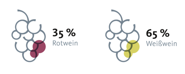 Vergleich Rot- & Weißweinsorten Südtirol