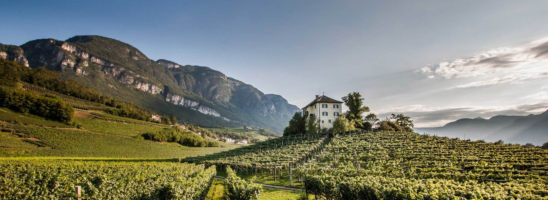 Jahrgang 2017 Wein Alto Adige