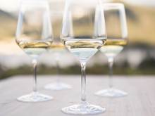 Jahrgang 2017 Weinglas Alto Adige