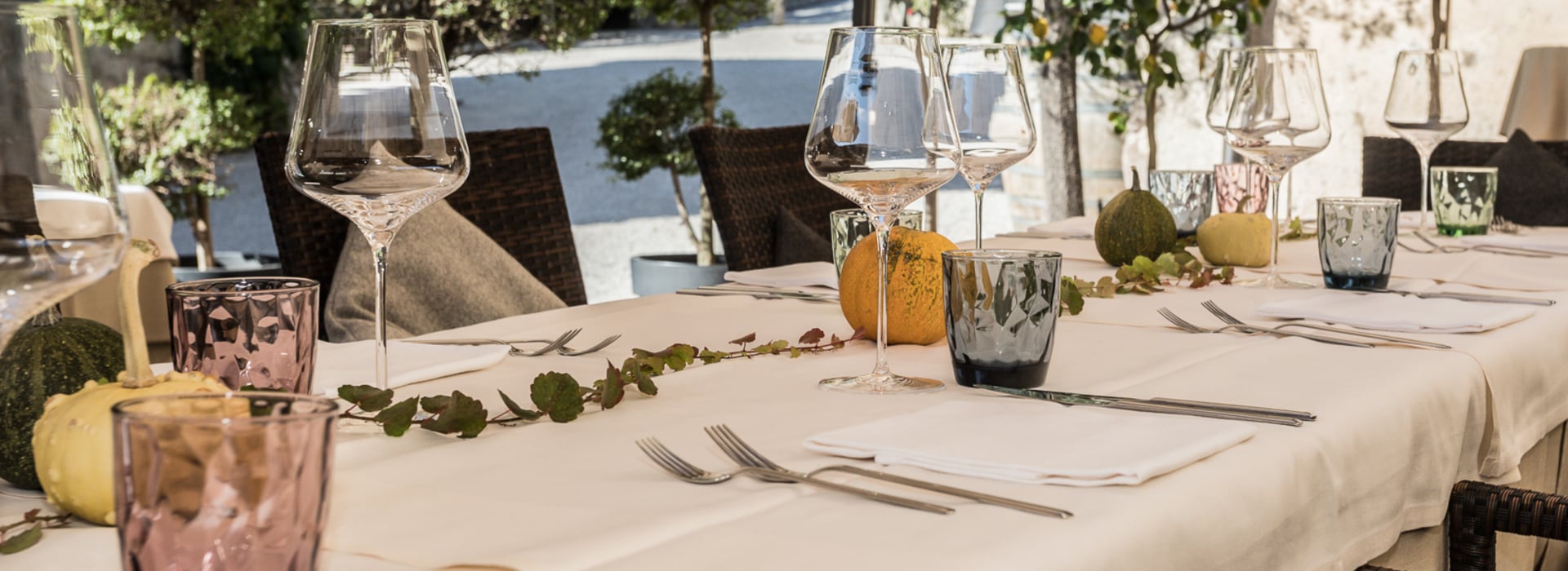 Restaurant - Weinbar - Vinothek Panholzer