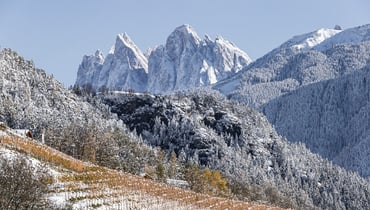 IDM/Südtirol Wein