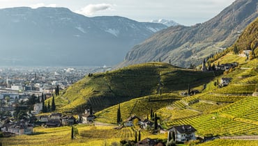 IDM/Südtirol Wein