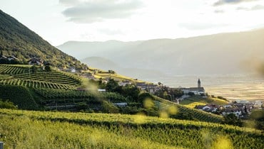 IDM/Südtirol Wein