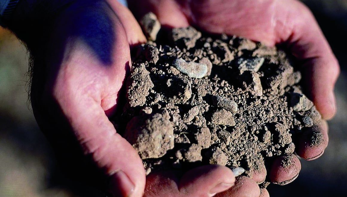 Südtiroler Böden als Ursprung für starke Weine