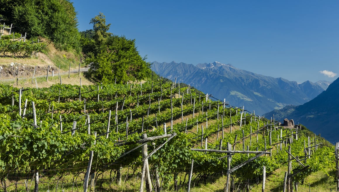 Südtirol Wein - Wandern