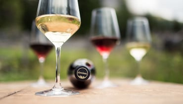 Südtirol Kapsel - Florian Andergassen