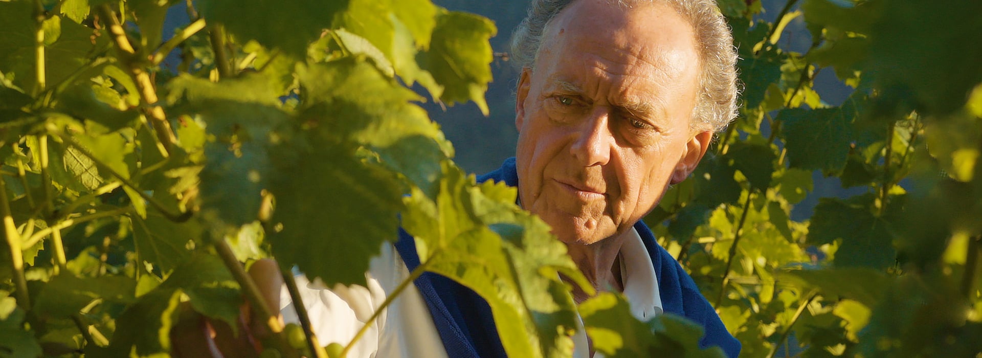 Auf die Natur hören