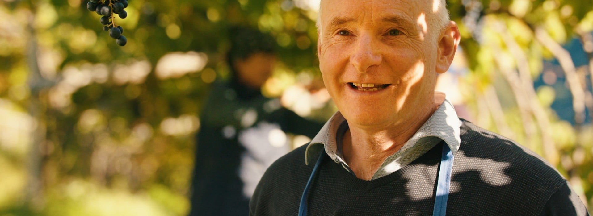 Leidenschaft in elfter Generation