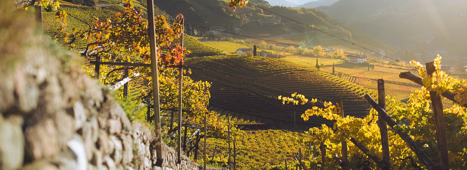 Früher Start in einen guten Jahrgang