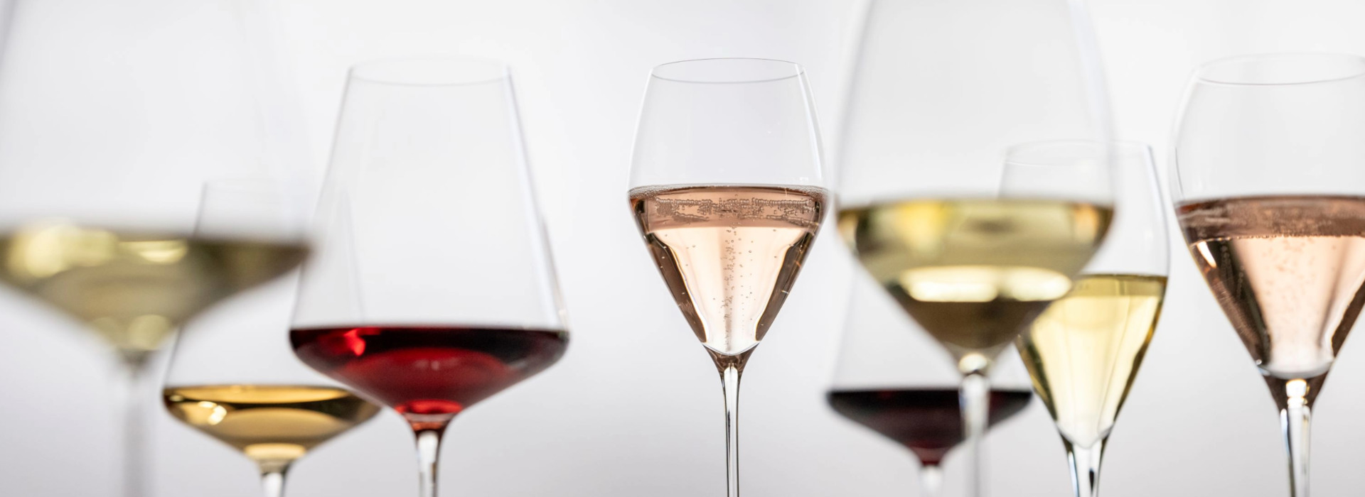 Verschiedene Weine und Sekte in unterschiedlichen Weingläsern präsentiert.