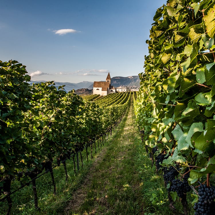 Auszeichnungen national
