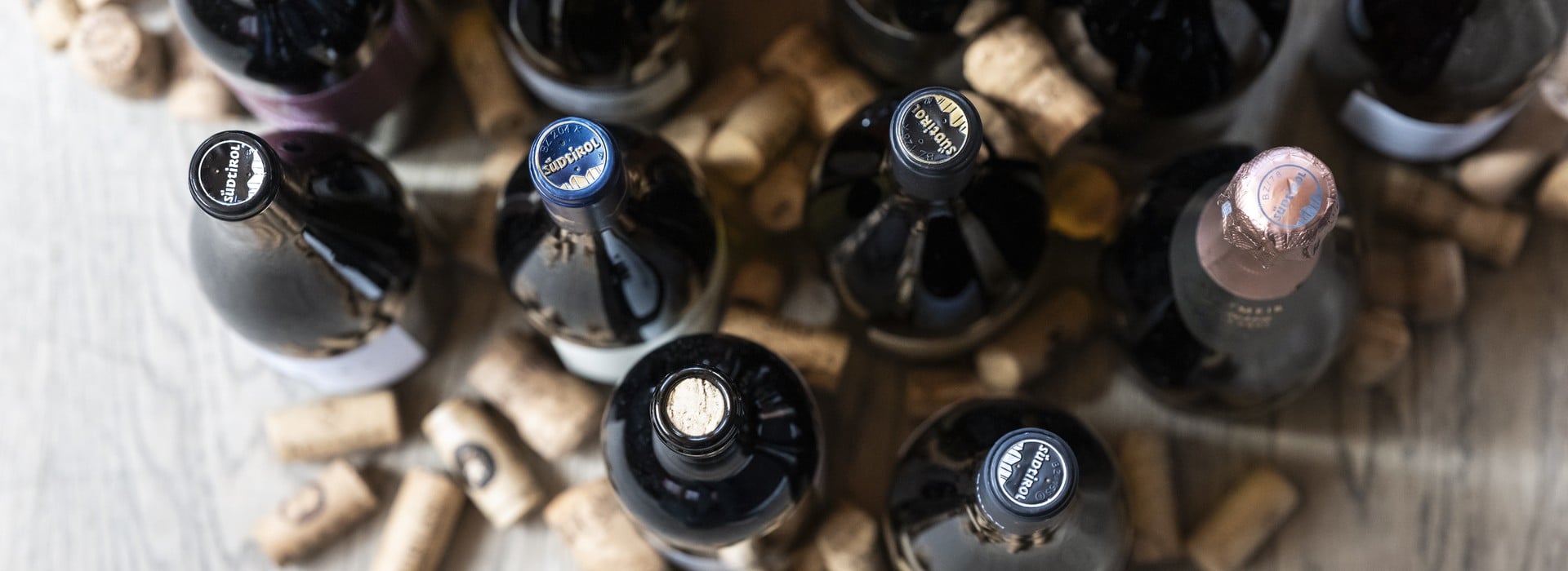 Jahrgang 2023 - Südtirol Wein