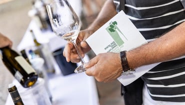 Tag des Rieslings 2024 ©Tag des Riesling-Peter Santer