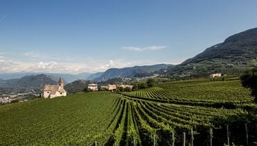 Lagen Karte Südtirol_IDM/Suedtirol Wein/Florian Andergassen