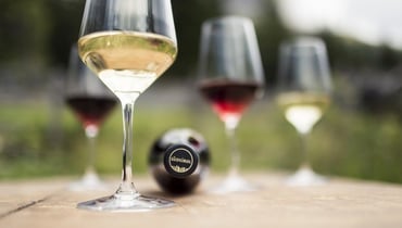 © Südtirol Wein_Florian Andergassen