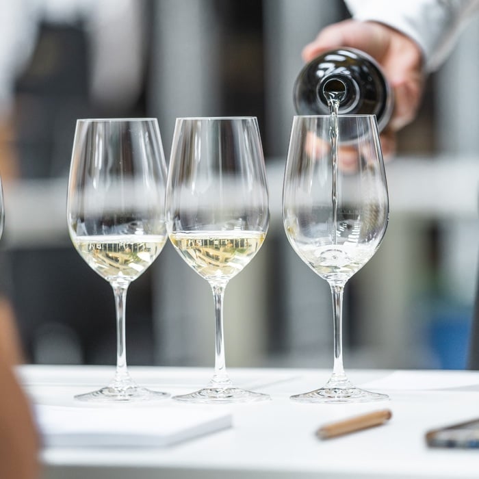 Internationale Weinführer 2025 ©Südtirol Wein_Mint Mediahouse