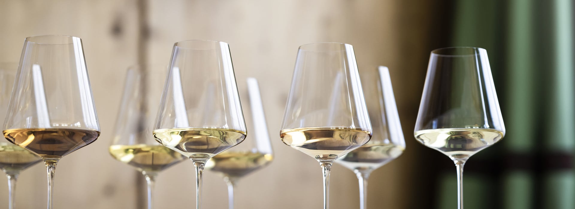 Jahrgang 2024 ©Südtirol Wein/Alex Filz