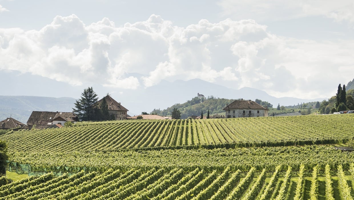 Jahrgang 2024 ©Eppan/Alex Filz