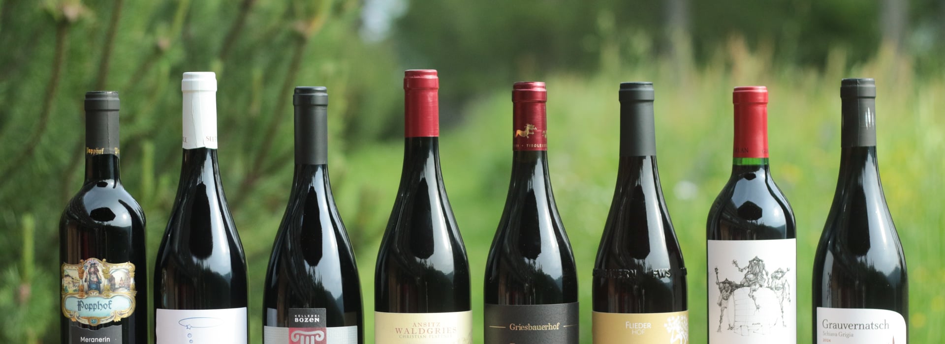 Vernatsch des Jahres und Gebietssieger © Eva Maria Zöggeler