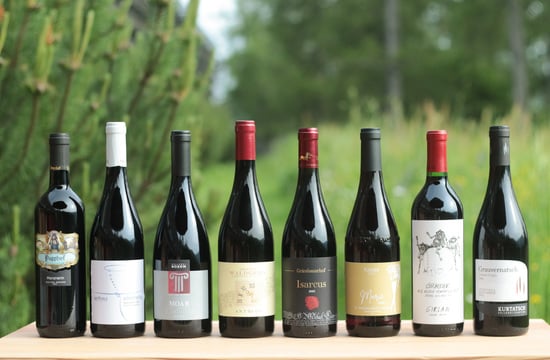 Vernatsch des Jahres und Gebietssieger © Eva Maria Zöggeler