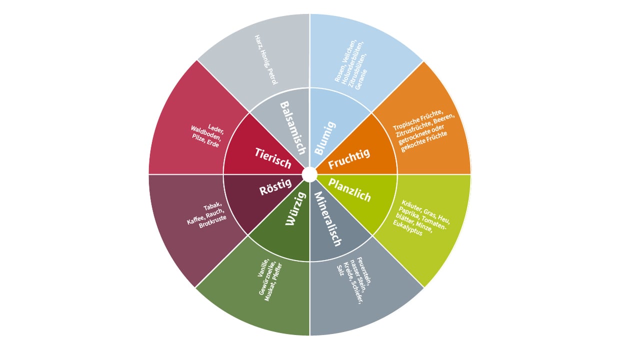 Grafische Darstellung des Aromarades für Wein.