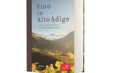 /images/content/132448_14150_1_C_390_250_2106_8716094/vino-in-alto-adige-preis-2025.jpg
