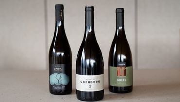 Die TOP3 Sauvignon Blanc Italiens 2023 ©Verein Sauvignontage Südtirol